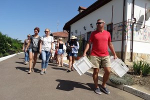 Виноробня Колоніст, Криничне